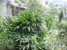 近地铁 商圈房 精装3室2厅 板式结构 出行便利