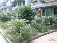 回兴 水天一色二房37万