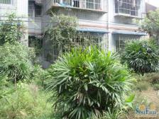 回兴 水天一色三房