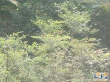 学府佳园 3室1厅 东南