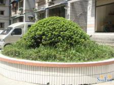 回兴 怡和佳苑四房56万