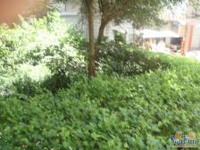 回兴 怡和佳苑三房