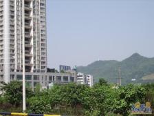 四公里双轻轨,住宅楼电梯房,安心卖