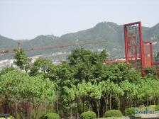 万凯新都会 2室1厅 东南