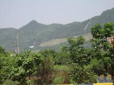 四公里双轻轨 精装单配 拎包入住随时看房 业主急卖