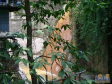 交通大学5号 4室2厅 南 北