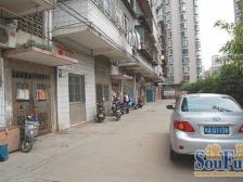 红光楼小区 南北通透,采光好 装修好,环镜优美 视野好,诚心出售