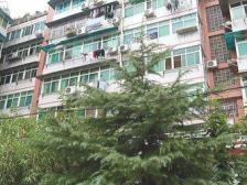 近地铁1号线 一室一厅 42万 小区正在改造 1楼 出路方便