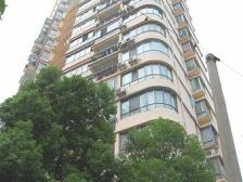 朝新路 丰源嘉会 南北通透