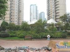 丰源嘉会 南北通透,采光好 装修好,环镜优美 近地铁 周边匹套完善,,出行方便