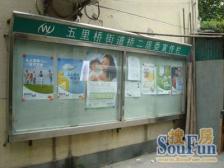 五里桥·五里桥路269弄·1室·0厅