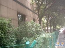 距世纪大道轨交近高区电梯房看房方便