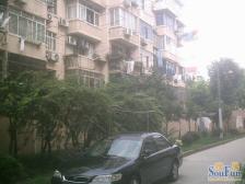 陆家嘴板块,出行方便,非顶楼、不靠路、看房有钥匙