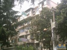 在陆家嘴上班步行可达,中间楼层、不靠路、诚意出售