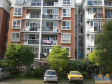 御桥·绿地御桥苑·1室·1厅