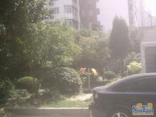 内环内 大两房全明户型,豪气华丽装修,看房方便