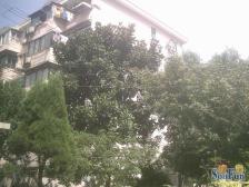 小户型,交通便利,近商圈,采光充足,视野好