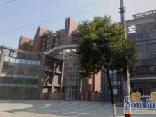 国际社区,整个板块绿化70%,品质小区