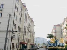 高东新村2房 中间楼层 房东急售 价格好谈