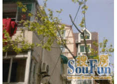 徐汇嘉馨公寓 3室1厅 南