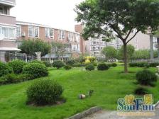 金虹桥井亭苑 1室1厅 南