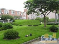 静安新城·井亭苑·2室·2厅