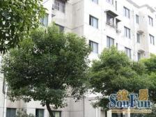 九宫格小区 双轨交通 户型好