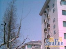 虹桥·联鑫虹桥苑·4室·2厅,一楼复式带花园