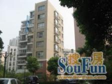 建襄双南两房两厅+衡复风貌区地铁口+采光好视野开阔!