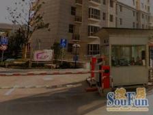 川北公园+民办新华初楼上/视野无遮挡/0裞随叫随到