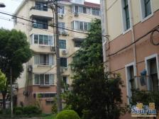 近地铁 电梯房,无抵押 必看好房