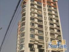 2000年房龄新,得房率高,视野开阔,弧形客厅很舒适