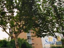 仙霞西路河景房,小两房一厅,拎包入住,随时看房。