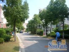 南郊花园公寓4室南朝向1100.00万元/套出售