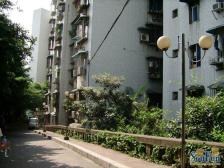 四公里 杏园小区三房46万