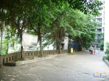 低楼层,户型方正,住家装修,双轻轨,配套好