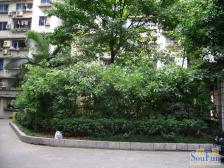 四公里 杏园小区二房