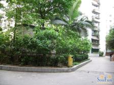 南坪商圈 南坪南路车站旁 正规两房 业主诚心出售