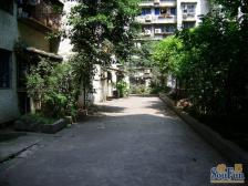 房子小区安静出行方便位置就在四公里轻轨旁边