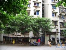 南坪南路公交车站旁边,正规二室,住家装修,户型方正