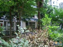六公里轻轨站 住家装修 户型方正 出行方便 住家安静