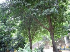 出脚方便,总价底 价格可谈。居家过渡