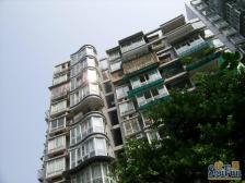 两房住家装修户型方正出行方便住家安静证在手