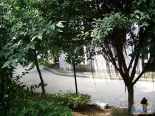 学府路 今宏家苑二房