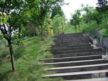 今宏家苑 2室2厅 东南