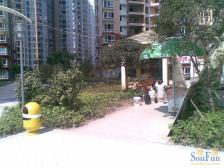 南坪 阳光小筑二房45万