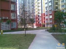 户型方正,出行方便,采光通透,楼层中间