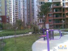 阳光小筑 2室1厅 东南