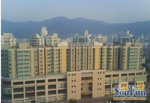 金达花园