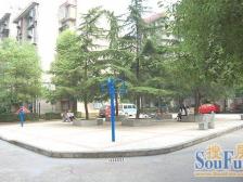 桃苑二区 南北通透,采光好 装修好,环镜优美 视野好,诚心出售